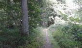 Trail Walking Sivry-Rance - ry de fromont 12 km - Photo 3