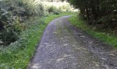 Trail Walking Sivry-Rance - ry de fromont 12 km - Photo 2
