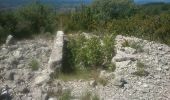 Randonnée Marche Aubenas - Ville dolmens - Photo 3