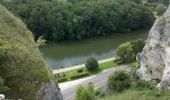 Randonnée Marche Merry-sur-Yonne - BMF-140823 - Vincelles-RocherSaussois - Photo 4