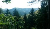 Trail Walking La Petite-Pierre - circuit du loosthal - Photo 4