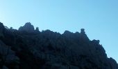 Trail Walking Monacia-d'Aullène - omu di cagna - Photo 4