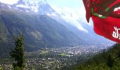 Trail Walking Chamonix-Mont-Blanc - la floria - Photo 2