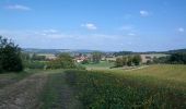 Tocht Noords wandelen Taxenne - Taxenne - Vitreux - Rouffange - Photo 2