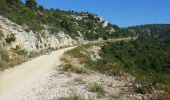 Tocht Mountainbike Roquefort-la-Bédoule - Le grand caunet pas de l loulier - Photo 6