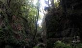 Trail Walking Omblèze - Canyon des Geulards - Photo 2