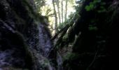 Trail Walking Omblèze - Canyon des Geulards - Photo 7