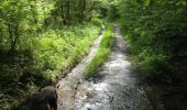 Excursión Senderismo Nassogne - Masbourg - Photo 17