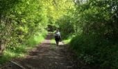 Excursión Senderismo Nassogne - Masbourg - Photo 2