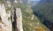 Randonnée Marche Le Rozier - Le Rozier - Causse Méjean Gorges du Tarn et de la Jonte - 12.5km 750m 4h50 (1h20) - 2014 09 07 - Photo 4