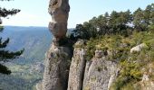 Randonnée Marche Le Rozier - Le Rozier - Causse Méjean Gorges du Tarn et de la Jonte - 12.5km 750m 4h50 (1h20) - 2014 09 07 - Photo 5