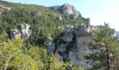 Randonnée Marche Le Rozier - Le Rozier - Causse Méjean Gorges du Tarn et de la Jonte - 12.5km 750m 4h50 (1h20) - 2014 09 07 - Photo 6