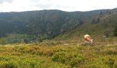 Excursión Senderismo La Bresse - Vosges - Honneck Lac Blanc par les lacs - Photo 7