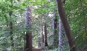 Trail Walking Neupré - Neupré - Sentier Paysage et Géologie - Photo 1