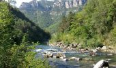Tour Wandern Massegros Causses Gorges - Grands Causses - Gorges du Tarn - Les Vignes - Photo 1