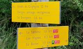 Randonnée Marche Massegros Causses Gorges - Les Vignes - GR6 vers Le Rozier croisement sentier Cinglegros - 19km 425m 5h05 (0h55) - 2014 09 10 - Photo 5