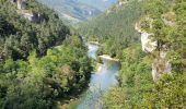 Randonnée Marche Massegros Causses Gorges - Les Vignes - GR6 vers Le Rozier croisement sentier Cinglegros - 19km 425m 5h05 (0h55) - 2014 09 10 - Photo 8