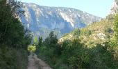 Randonnée Marche La Malène - La Malène - Gorges du Tarn vers Les Vignes jusqu'aux Baumes - 15.2km 420m 4h05 (0h50) - 2014 09 11 - Photo 3