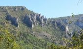 Randonnée Marche La Malène - La Malène - Gorges du Tarn vers Les Vignes jusqu'aux Baumes - 15.2km 420m 4h05 (0h50) - 2014 09 11 - Photo 4
