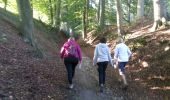 Trail Walking Oud-Heverlee - 2014-09-12 oud Heverlee - Photo 17