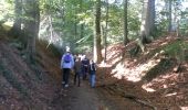 Trail Walking Oud-Heverlee - 2014-09-12 oud Heverlee - Photo 16