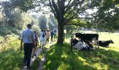 Trail Walking Oud-Heverlee - 2014-09-12 oud Heverlee - Photo 7