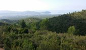 Tour Mountainbike Roquefort-la-Bédoule - Le grand caunet au telegraphe - Photo 2