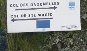 Trail Walking Sainte-Marie-aux-Mines - sentiers violu - Photo 8
