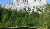 Excursión Senderismo Gresse-en-Vercors - le grand veymont par la cabane du veymont - Photo 1