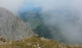 Excursión Senderismo Gresse-en-Vercors - le grand veymont par la cabane du veymont - Photo 2