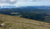 Excursión Senderismo Gresse-en-Vercors - le grand veymont par la cabane du veymont - Photo 4