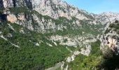 Tocht Stappen La Palud-sur-Verdon - Gorges du Verdon - Sentiers des pêcheurs - Photo 1