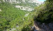 Randonnée Marche La Palud-sur-Verdon - La Palud-sur-Verdon - Sentier des Pêcheurs des Gorges du Verdon - 7.5km 390m 2h45 - 2014 09 16 - Photo 2