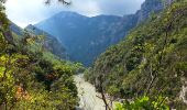 Tocht Stappen La Palud-sur-Verdon - Gorges du Verdon - Sentiers des pêcheurs - Photo 4