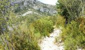 Randonnée Marche La Palud-sur-Verdon - La Palud-sur-Verdon - petit AR sur le sentier du Bastidon - 1.6km 120m 0h40 - 2014 09 18 - Photo 2