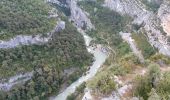 Randonnée Marche Rougon - Rougon - les Gorges du Verdon du Point Sublime à Encastel GR49 AR - 9.3km 700m 3h15 - 2014 09 19 - Photo 1
