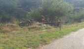 Tocht Mountainbike Les Pilles - run bike nyons - Photo 5