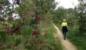 Trail Walking Lille - VOSSELAAR: wandeling Rood - Photo 4