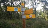 Tour Wandern Bollène - Pênègue Chapelle de Derboux - Photo 1