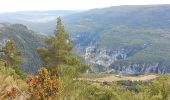 Trail Walking La Palud-sur-Verdon - Gorges du Verdon - La-Palud-sur-Verdon - Tour de la cime de Barbin - Photo 3