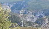 Excursión Senderismo La Palud-sur-Verdon - Gorges du Verdon - La-Palud-sur-Verdon - Tour de la cime de Barbin - Photo 4
