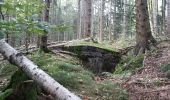 Tocht Stappen Grandfontaine - donon casemates nord - Photo 14