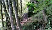 Trail Walking Houyet - gendron par la lesse - Photo 18
