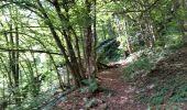Trail Walking Houyet - gendron par la lesse - Photo 16