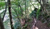 Trail Walking Houyet - gendron par la lesse - Photo 14