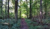 Trail Walking Houyet - gendron par la lesse - Photo 11