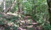 Trail Walking Houyet - gendron par la lesse - Photo 10