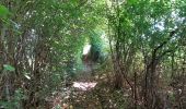 Trail Walking Houyet - gendron par la lesse - Photo 5