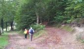 Trail Walking Treignac - Treignac Trephy - Photo 7