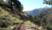 Trail Walking Beuil - Gorges du Cians - AR sur les corniches  - Photo 1